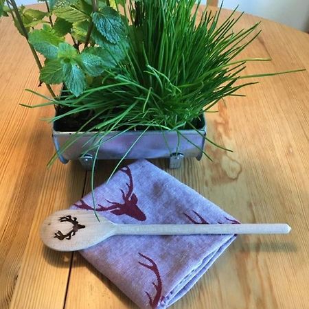 Ferienwohnung Auszeit 孔菲尔德施瓦 外观 照片