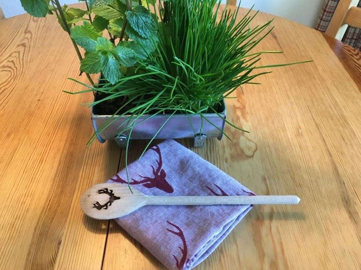 Ferienwohnung Auszeit 孔菲尔德施瓦 外观 照片